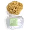 14CM Sea Sponge Unbleached Honeycomb Natural Seasponge for Bath Use,