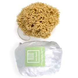 14CM Sea Sponge Unbleached Honeycomb Natural Seasponge for Bath Use, for Baby, or Art use (M Size 12-14 cm)