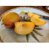 Tree Grenade Pluot scions/cutting