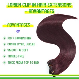 LORIEN Clip in Hair Extensions Real Human Hair, 22 Inch 110g, 99J Burgundy, Clip in 100% Brazilian Remy Human Hair Extensions 8pcs Per Set with 18 Clips Double Weft