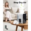 Leemone 12 Pack A451 Anti-Mineral Pads Compatible with BONECO S200,