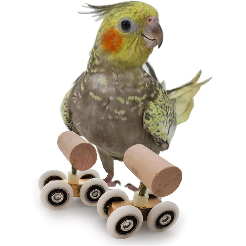 AIMALL Parrot Training Toy Pulley Skateboard for Small Birds |