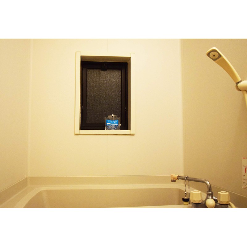 ビッグバイオ 浴室用 防カビ剤 ちょこっと置いて吊るして防カビ 浴室用