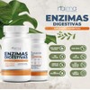 NAIMA Enzimas Digestivas con Probióticos y Prebióticos de Amplio Espectro,