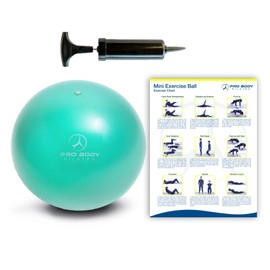 ProBody Pilates Ball Small Exercise Ball w/ Pump, 9 Inch Bender Ball, Mini Soft Yoga Ball, Workout Ball for Stability, Barre, Fitness, Ab, Core, and Physical Therapy Ball at Home Gym & Office (Blue)