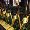 LED String Lights 20LEDs Waterproof Outdoor String Lights for Garden