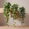 Juinte 3 Pcs Fake Hanging Plant with Pot Faux Pothos