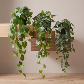 Juinte 3 Pcs Fake Hanging Plant with Pot Faux Pothos Ivy Vines Indoor Decor