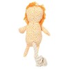 Plush Lion Rope and Squeaker Toy – Sustainable Dog Toy,