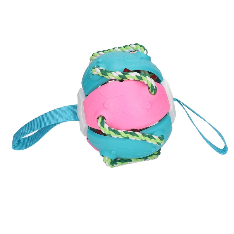 Interactive Outdoor Fly Ball Flying Saucer Ball Interesting Dog Soccer