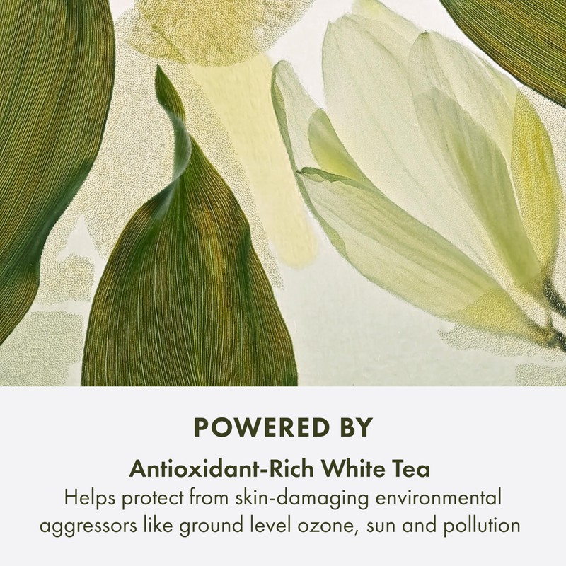 Origins A Perfect World Antioxidant Moisturizer | Keeps Skin Looking