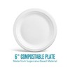 Perk Compostable Paper Plates, 6-inch, White, 250/Pack (PK61286)