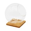Plant Terrarium Display Glass with Bamboo mat, Tabletop Succulent Air
