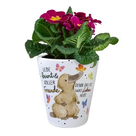 Platypus Flower Pot with Saying "Lebe bunt und freudig Entdecke Lebensfreude Nahzu Natur Glück mit dem Positiven Platypus Duck Pot on Bicycle Wheel