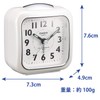 Casio Analog Travel Clock