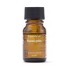 MUJI OCG75A4A Essential Oil Eucalyptus 0.3 fl oz (10 ml)