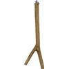 Penn Plax Y-Shaped Wooden Bird Perch, Large