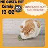 ME GUSTA PET Catnip Stalkless Dried Ground Premium Bulk Bag