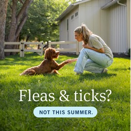 PetArmor Plus for Dogs Flea and Tick Prevention for Dogs, Long-Lasting & Fast-Acting Topical Dog Flea Treatment, 6 Count, small