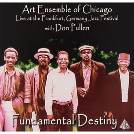 Fundamental Destiny-Live at Th