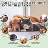 Seizure Guardian for Dogs and Cats, Natural Liquid Formula for