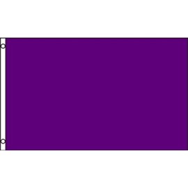 Purple Color Flag 3x5ft Poly