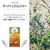 Organic India Tulsi Turmeric Ginger Tea 25 Teabags