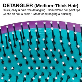 Olivia Garden OG Brush Detangler, pocket-size, perfect for travel and on-the-go, removable cushion, scalp hugging shape massages the scalp, for wet or dry hair, for women, men and children, Purple