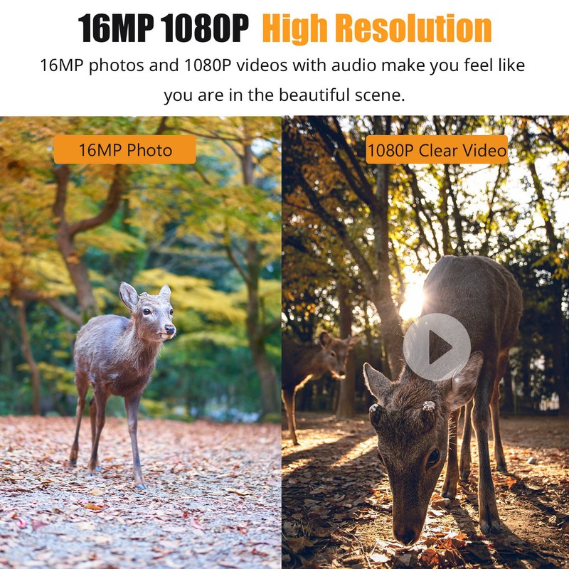 1080P Hunting Camera 2.0in LCD 16MP Infrared Night Vision Mobile