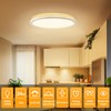 Taipow 24 W LED Ceiling Light Flat with Remote Control