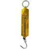 Spring Balance Scales 25KG Hanging Hook Handheld Metal Weighing Scale