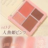 JILL LEEN 4 in 1 Multi Palette 04 Eyeshadow, Cheek,