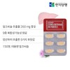 Hanmi Corporation Liver Milk Thistle Mega Plus / 한미양행 간에는
