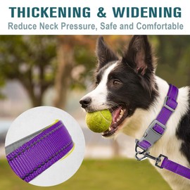 Dog Collar for Medium Small Large Dogs Reflective with Leash,Collar and Leash for Dogs,Soft Neoprene Padded 2 Pack(Purple,XS)