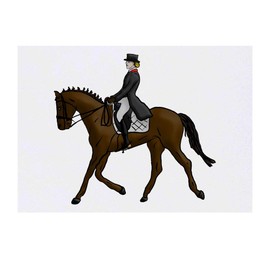 'Dressage Horse & Rider' Temporary Tattoo - Water Resistant, Skin-Safe, Non-Toxic Transfer (TO00040840)
