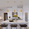 Gold Pendant Lights Kitchen Island,Dining Room Light Fixtures Over Table