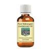Devprayag Pure Malkangani (Malkangni/Jyotishmati) Oil (Celastrus paniculatus) Natural Therapeutic Grade