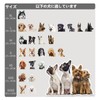Muzzle, Mesh, Dog Muzzle, Small Dog, Muzzle for Dogs, Drinking