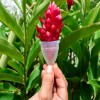 2 Copa Menstrual Angel Cup (chgde) 2 Vasos Esterilizador