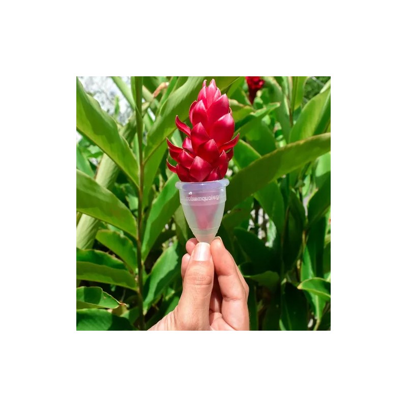 2 Copa Menstrual Angel Cup (chgde) 2 Vasos Esterilizador