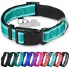 TECEUM - Collar para perro azul cielo - Collar para