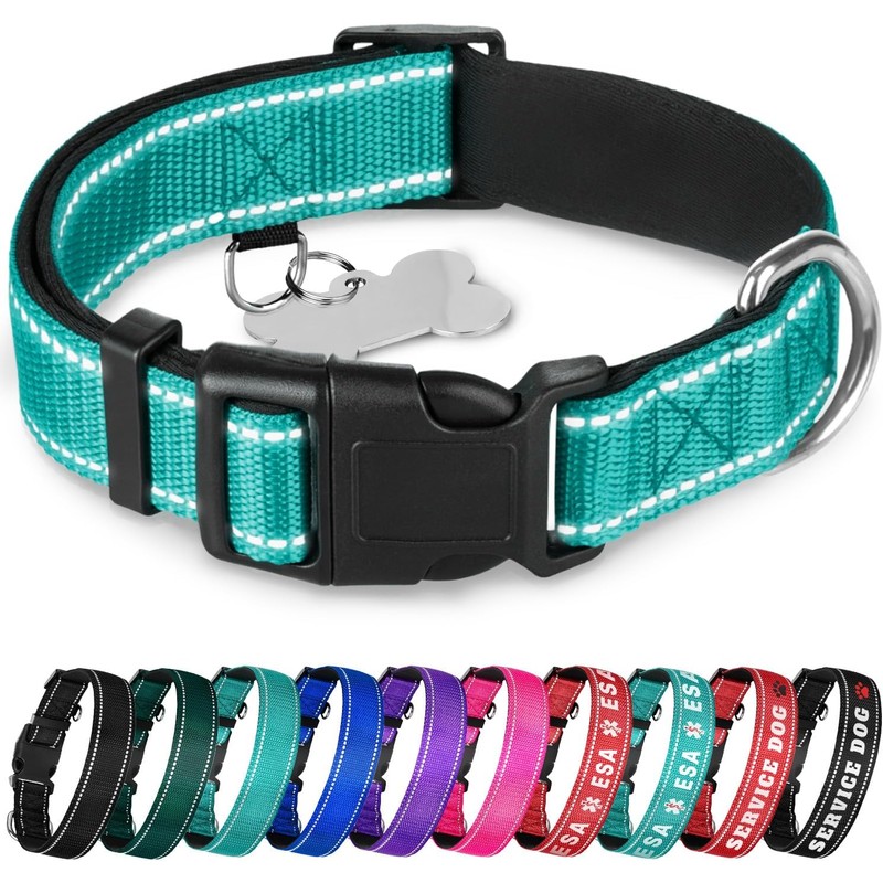 TECEUM - Collar para perro azul cielo - Collar para