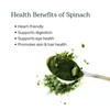 Eclectic Herb - Spinach Powder Supplement | Nutritional Support, Vitamins