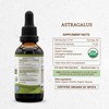 Secrets of the Tribe Astragalus USDA Organic | Alcohol Extract,