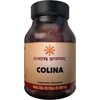 Essential Nutrition, Colina - 60 Cápsulas De 500 Mg