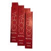 Schwarzkopf Igora Royal Pixam F 80g PTBe12 x 6 Sets