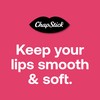 ChapStick Lip Moisturizer, Raspberry Sorbet, 12-Pack – Bulk Lip Balm,