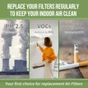 AP-B102 Replacement Filter Compatible with Alexapure Breeze Air Pu-rifier AP-B102