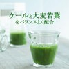 Lipsa C-138 Blue Juice Capsules, Approx. 3 Months Supplement, Potassium,