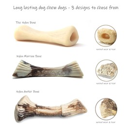 PetsLA Dog Chew Toys for Aggressive Chewers Large Breed Indestructible Hard Nylon Dog Bone Toy Durable Dog Chew Toy Dog Teething Toy for Large Medium Small Dogs